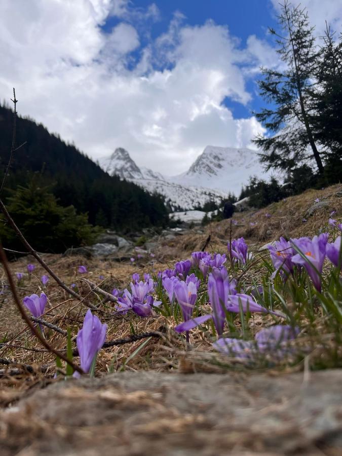 Pensiunea Colt De Rai, Vistisoara Statiunea Climaterica Sambata Exterior foto